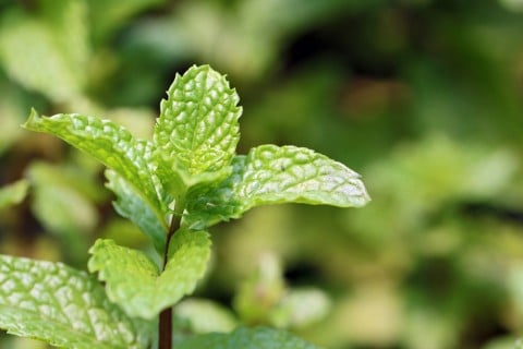 2c6575a4800607929b8e9a04c6bdf480-480x320[1]